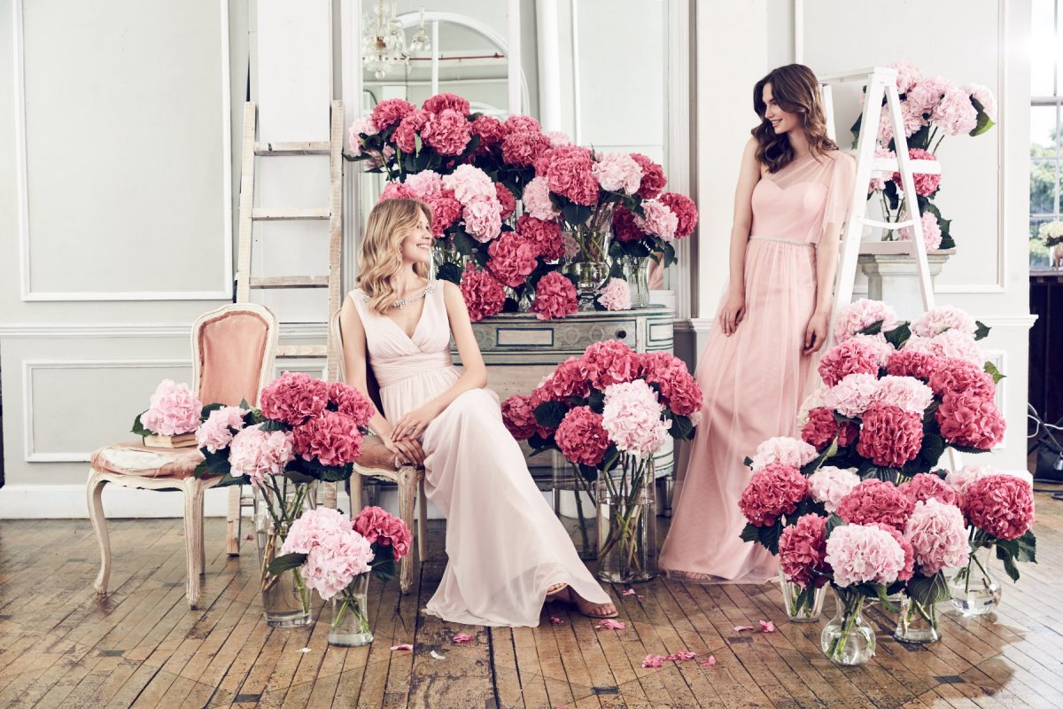 Jenny Packham bridesmaid dresses Wedding Dresses Sussex Bridal Shop Bridal Wear Boutique